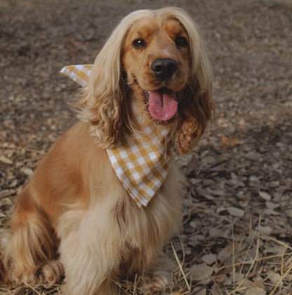 Bandana Vichy Senape