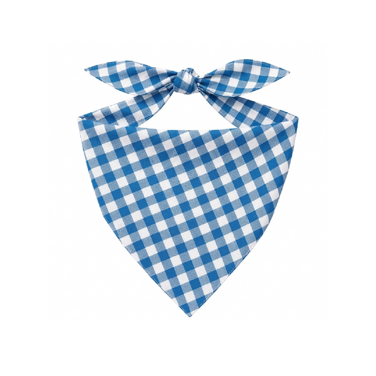 Bandana Vichy Indaco